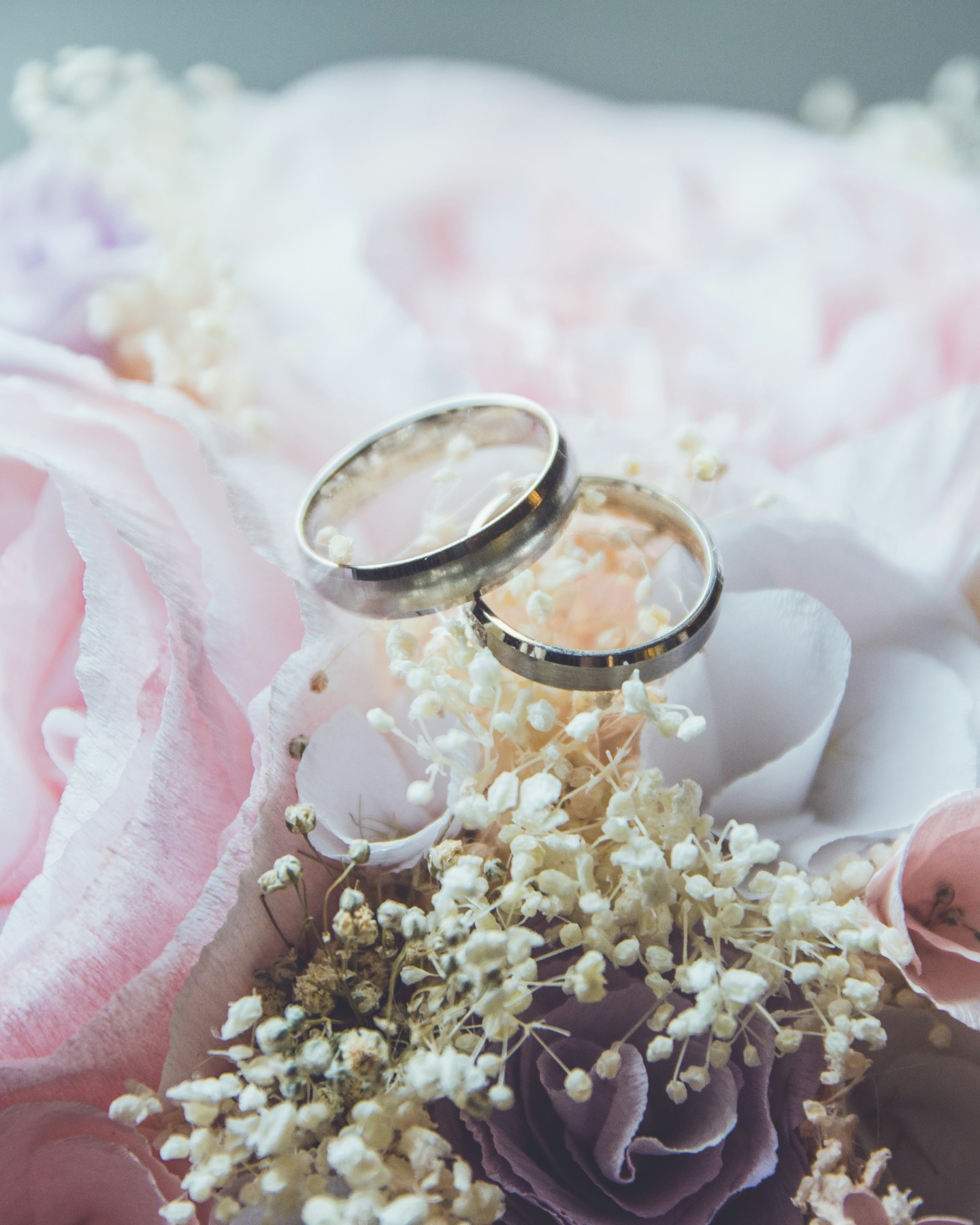 Wedding rings resting on soft pink flowers